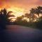 Bare Hill Holiday Apartments