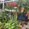 BinhYen Homestay