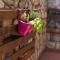 Apartment Rijeka 13976b