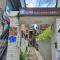 Bunk Backpackers Guesthouse