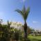 Riad Al Mendili Private Resort & Spa