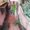 Hidden gem home stay -2