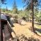 Sugar Pine Log Cabin