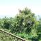 Apartments by the sea Cove Gornja Krusica, Solta - 16376