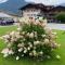 Hotel Standlhof Zillertal - Uderns