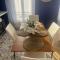 L'AMAZONIE - Lovely apartment near to the train station and Orly Airport - 奥尔日河畔于维西