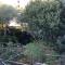 Apartment Barbat 16723b - Rab
