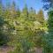 Entire Mountain Cottage Home - Restaurants Amazing Hiking & Biking Trails - Palo Alto