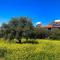 Bare Hill Holiday Apartments