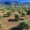 Bare Hill Holiday Apartments