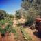 Bare Hill Holiday Apartments