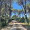 Amazing Home In Otranto With Wifi - 奥特朗托