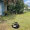 House of Shells, beautiful garden, fenced yard, dog friendly, fire pit!