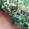 Hidden gem home stay -2