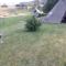 Leite Telt Camping