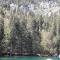 A Cordon entre Bois et Nature