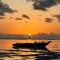 The View of Zanzibar