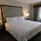 Holiday Inn Hotel & Suites Minneapolis-Lakeville by IHG - Lakeville