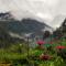 Snow View Guest House