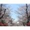 Hotel Sardonyx Ueno