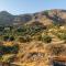 Myrtes View