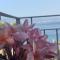 Casa Cannoni - Delizioso Appartamento Fronte Mare vista Stretto di Messina