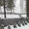 3 Mi to Skiing Big Bear Cabin with Deck - مدينة بيغ بير