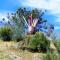 Quinta da Mal-disposta, cabin lodge Countryhouse