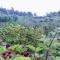 Quinta da Mal-disposta, cabin lodge Countryhouse