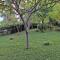 Apartments by the sea Postira, Brac - 5672