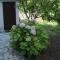 Apartments with parking space Orebic, Peljesac - 4524