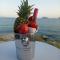 Villa BLUE DIAMOND 