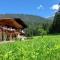 Apartment in Saalfelden am Steinernen Meer - 萨菲登安斯泰内嫩米尔