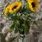 Torre dell’Angelo B&B