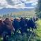 Kromrivier Farm Accommodation