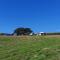 Summit Camping Kit Hill Cornwall Panoramic Views Grass Pitch from 15pn or Bella Bell Tent 75pn - Callington