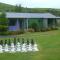 Catlins Newhaven Holiday Park - Owaka