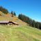 Vorderkaseralm - Sankt Johann im Pongau