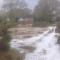 Holmans NEW FOREST