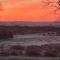 Holmans NEW FOREST
