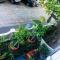 Gordons Guesthouse