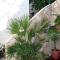 Apartment Drasnice 6051b - Drašnice