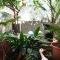 Apartment Drasnice 6051b