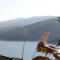 Apartments with a parking space Rabac, Labin - 7410 - Rabac