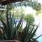 Amanda's Place Green Studio - pool and tropical garden - Cayo Caulker