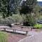 Shale Verba
