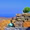OWL’S NEST/THE BLUE COTTAGE