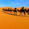 Merzouga Quiet apart &camels trecking - 梅尔祖卡