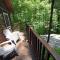 Private, nature, jetted tub, fire pit, easy access. Great family vacation property! - Blairsville