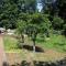 Apartments with a parking space Opric, Opatija - 7716 - 洛夫兰